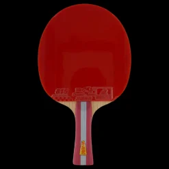 Best Double Fish 1a+ Table Tennis Racket Röd