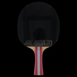 Best Double Fish 1a+ Table Tennis Racket Röd