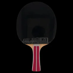 Best Double Fish 2a+ Table Tennis Racket Svart