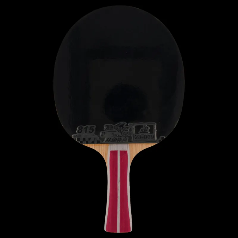 Best Double Fish 2a+ Table Tennis Racket Svart