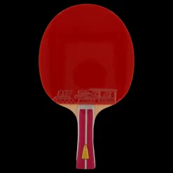 Best Double Fish 2a+ Table Tennis Racket Svart