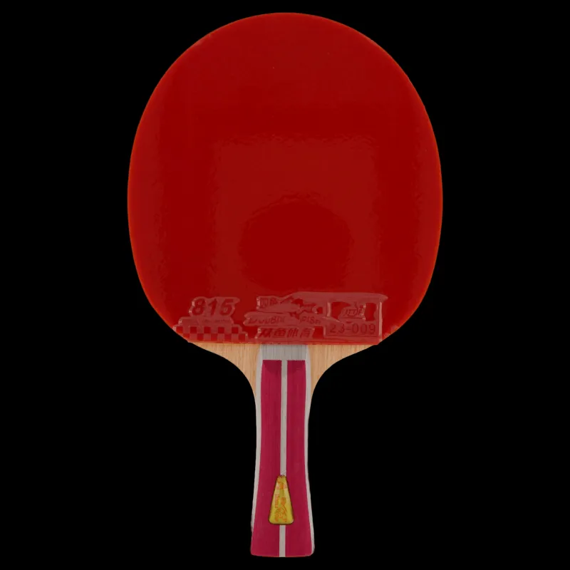 Best Double Fish 2a+ Table Tennis Racket Svart