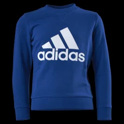 adidas Boys Essentials Big Logo Sweatshirt Team Royal Blue / White Blå Clearance