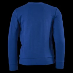 adidas Boys Essentials Big Logo Sweatshirt Team Royal Blue / White Blå Clearance