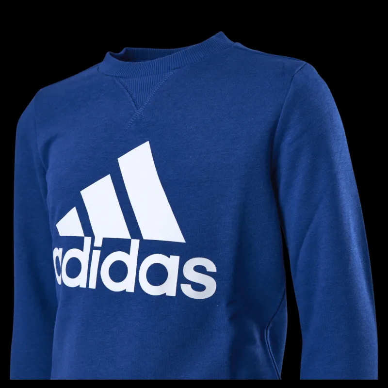adidas Boys Essentials Big Logo Sweatshirt Team Royal Blue / White Blå Clearance