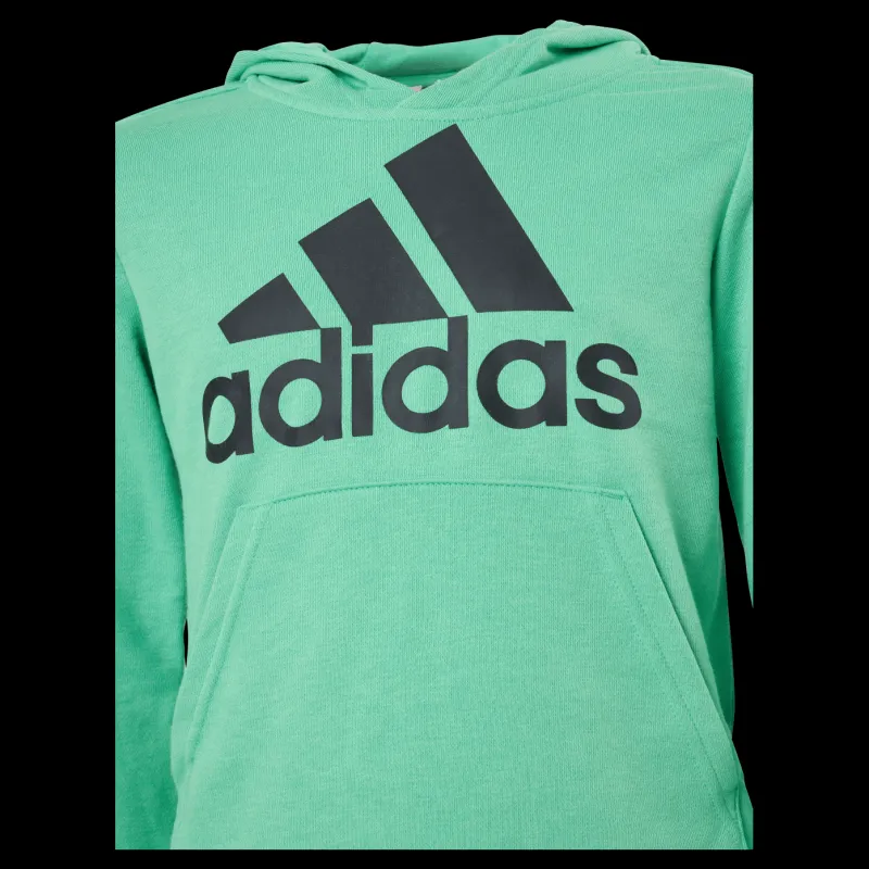 Hot adidas Boys Essentials Big Logo Hoodie Semi Screaming Green / Black Grön