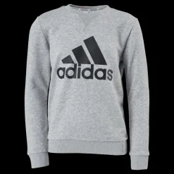 Outlet adidas Boys Essentials Big Logo Sweatshirt Medium Grey Heather / Black Grå