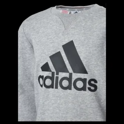 Outlet adidas Boys Essentials Big Logo Sweatshirt Medium Grey Heather / Black Grå