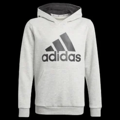 adidas Essentials Hoodie Medium Grey Heather Grå Online