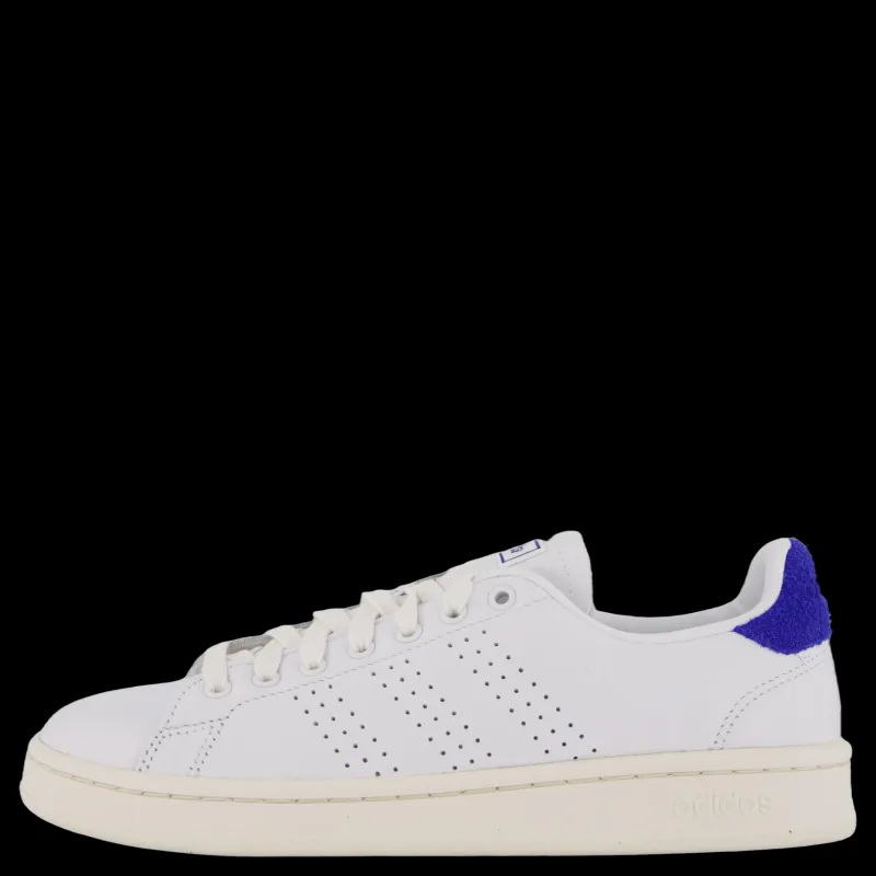 adidas Advantage Shoes Cloud White / Cloud White / Royal Blue Vit