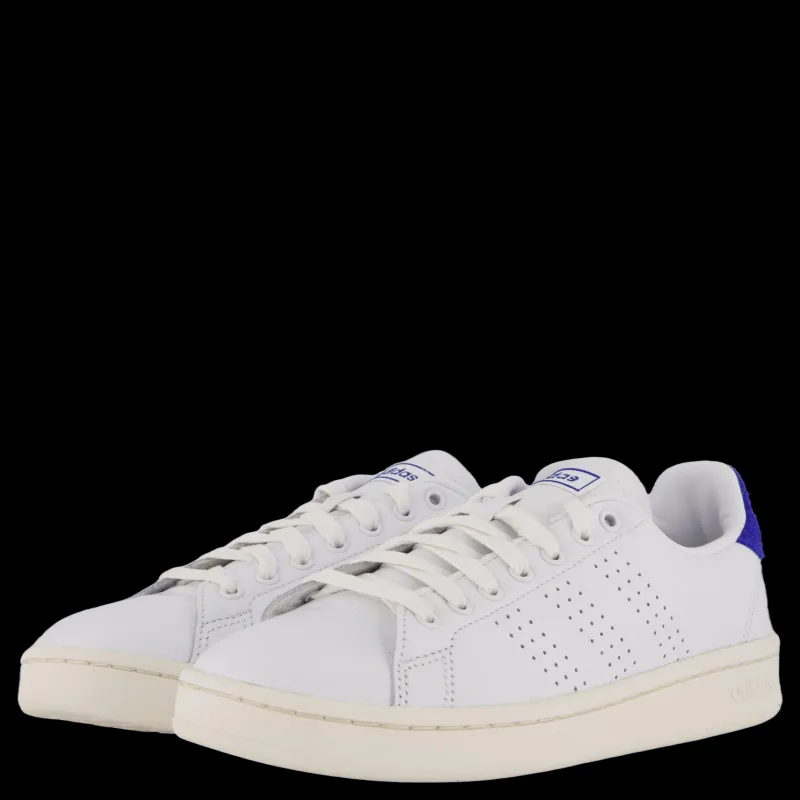 adidas Advantage Shoes Cloud White / Cloud White / Royal Blue Vit