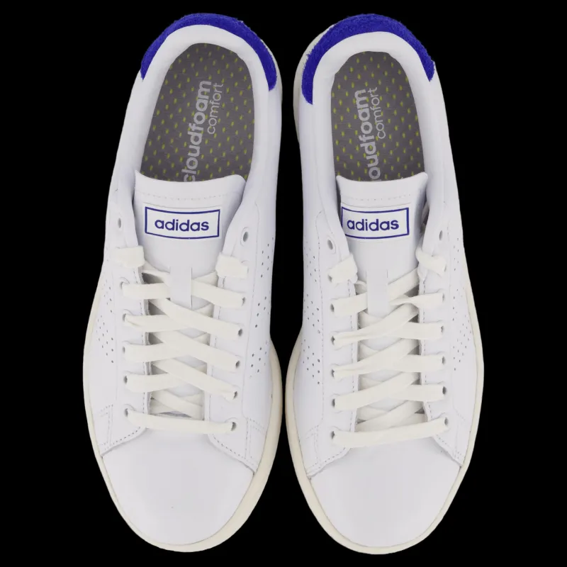 adidas Advantage Shoes Cloud White / Cloud White / Royal Blue Vit