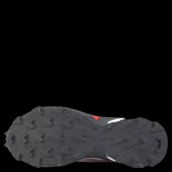 Salomon Alphacross 4 Gtx W Ashes Of Roses/white/ebony Vit