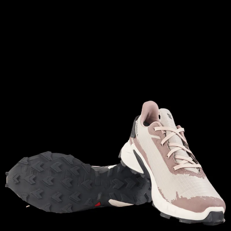 Salomon Alphacross 4 Gtx W Ashes Of Roses/white/ebony Vit