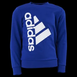 adidas Badge of Sport Logo Crewneck Sweatshirt Selubl Blå Sale