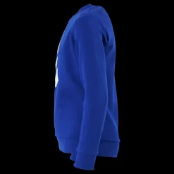 adidas Badge of Sport Logo Crewneck Sweatshirt Selubl Blå Sale