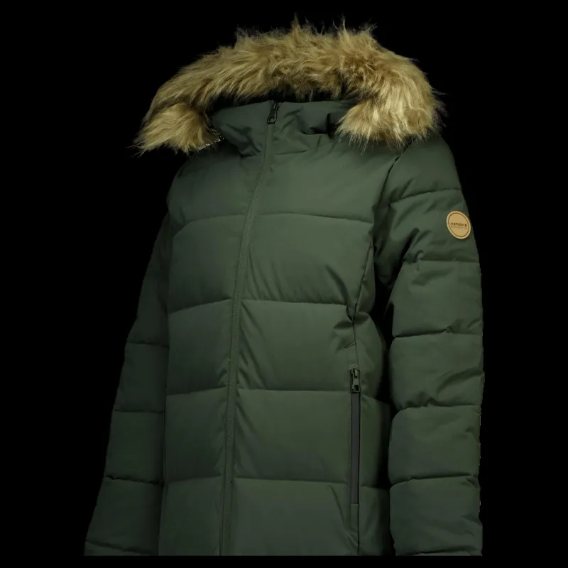 Best Icepeak Brilon Dark Green Grön