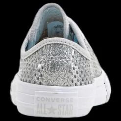 Converse Chuck Taylor All Star Mesh Silver Discount