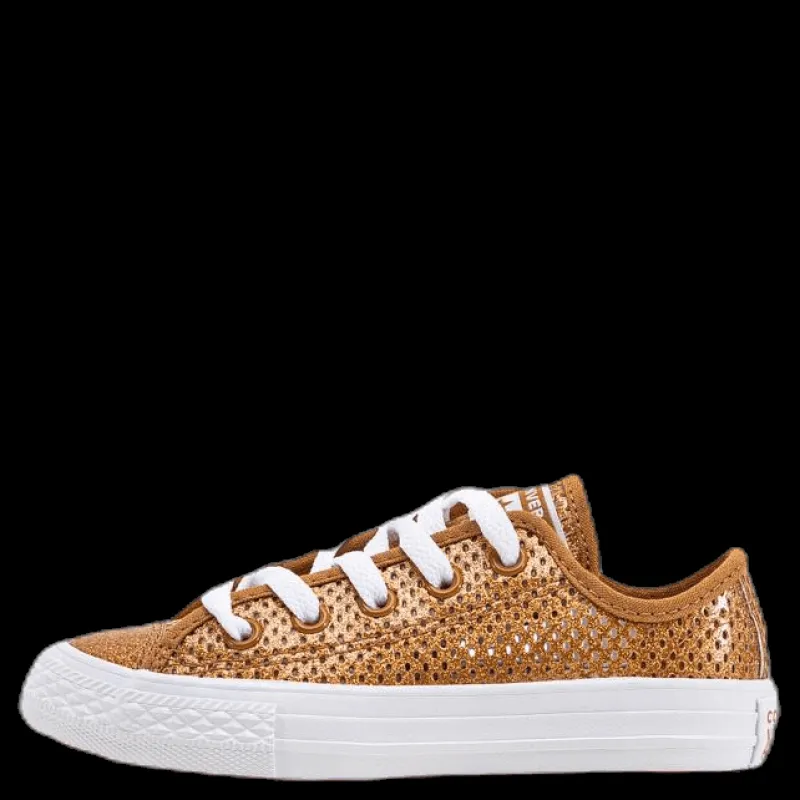 Converse Chuck Taylor All Star Mesh Brown Brun Discount