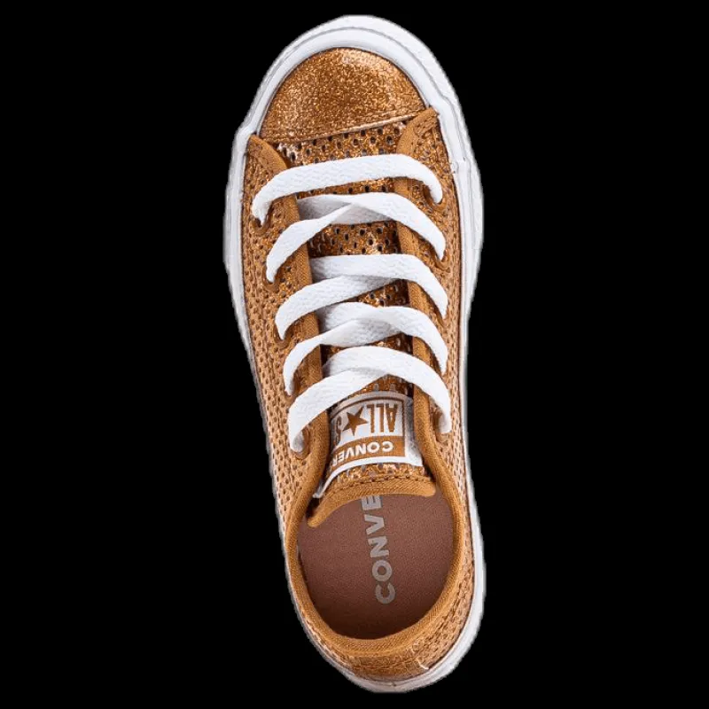 Converse Chuck Taylor All Star Mesh Brown Brun Discount