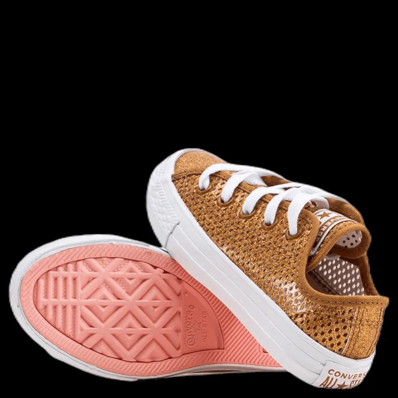 Converse Chuck Taylor All Star Mesh Brown Brun Discount