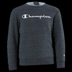 Champion Crewneck Sweatshirt Junior Grey Grå Sale