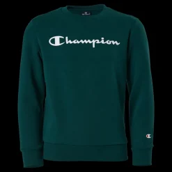 Sale Champion Crewneck Sweatshirt Rain Forest Grön