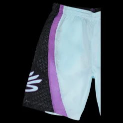 Under Armour Curry Splash 9'' Short Grön Clearance