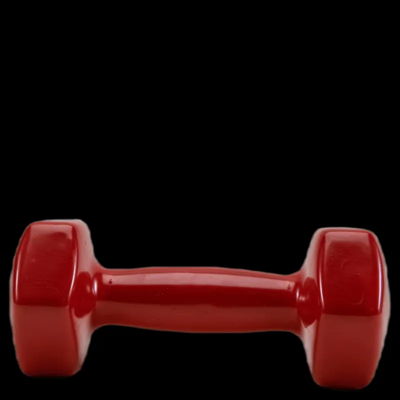 SPRI Dumbbell Vinyl 2,7KG/6LBS Röd