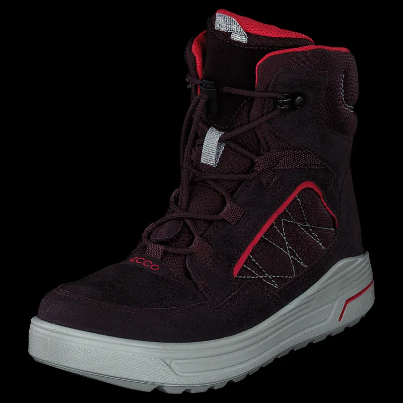 Best ECCO Urban Snowboarder Fig/teaberry Svart