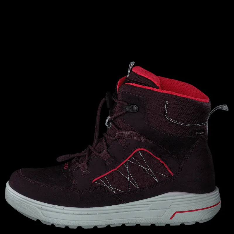ECCO Urban Snowboarder Fig/teaberry Lila och Svart Online