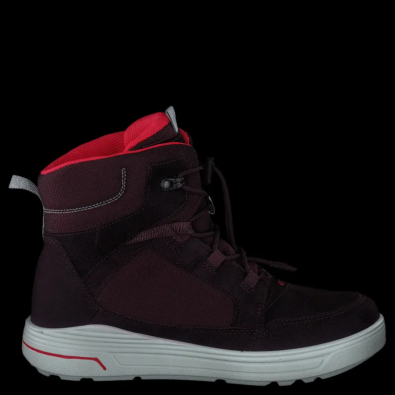 ECCO Urban Snowboarder Fig/teaberry Lila och Svart Online