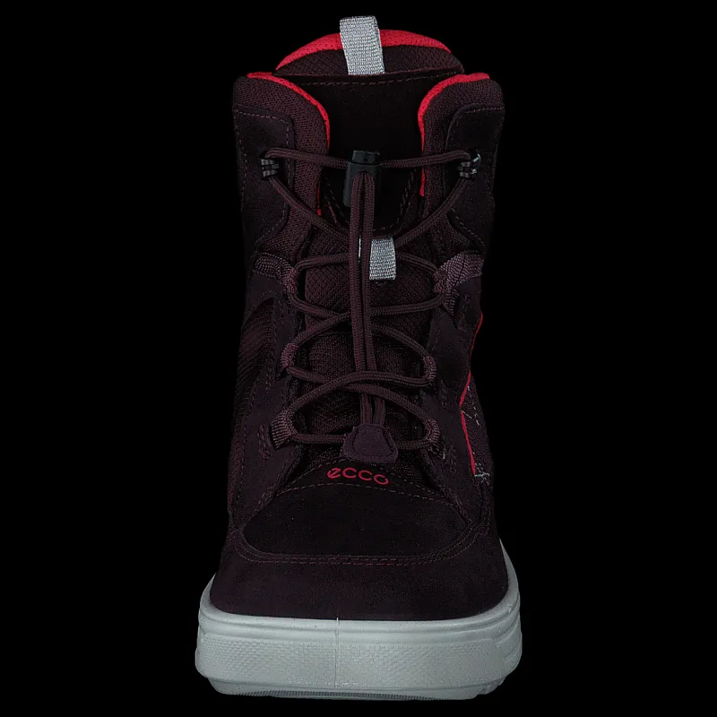 ECCO Urban Snowboarder Fig/teaberry Lila och Svart Online