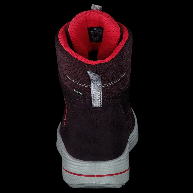 ECCO Urban Snowboarder Fig/teaberry Lila och Svart Online