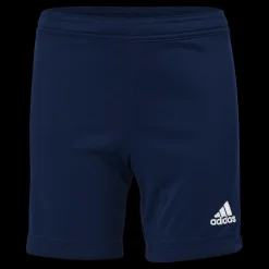 adidas Entrada 22 Shorts Tenabl Blå New