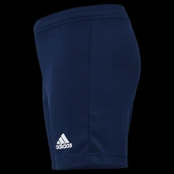adidas Entrada 22 Shorts Tenabl Blå New