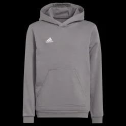 adidas Entrada 22 Sweat Hoodie Tegrfo Grå Clearance