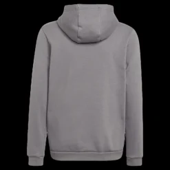 adidas Entrada 22 Sweat Hoodie Tegrfo Grå Clearance