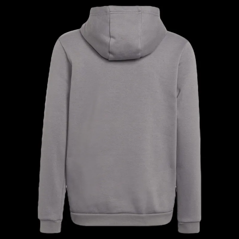 adidas Entrada 22 Sweat Hoodie Tegrfo Grå Clearance
