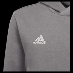 adidas Entrada 22 Sweat Hoodie Tegrfo Grå Clearance