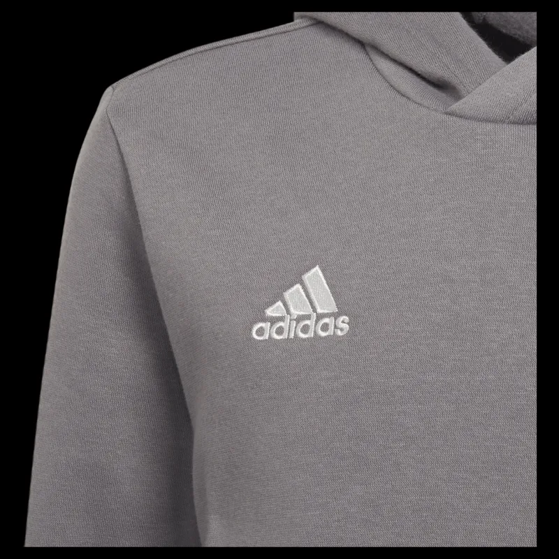 adidas Entrada 22 Sweat Hoodie Tegrfo Grå Clearance