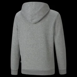 Sale Puma Ess+ 2 Col Big Logo Hoodie Fl Medium Gray Heather Grå