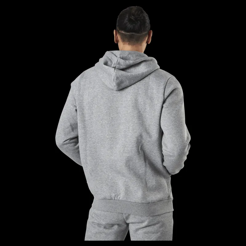 Puma Essential Small Logo Fz Hoodie Fl Grey Grå Online