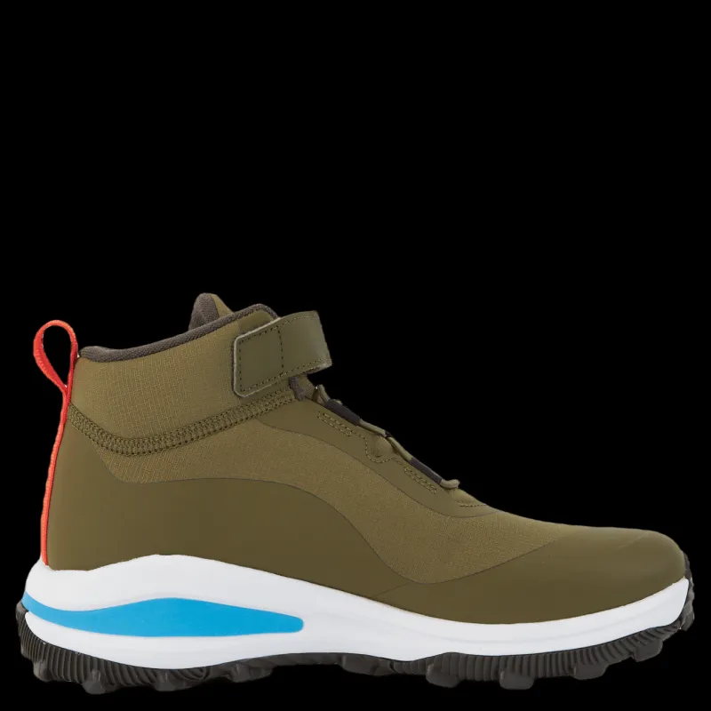 Discount adidas Fortarun All Terrain Cloudfoam Sport Running Elastic Lace and Top Strap Shoes Focus Olive / Pulse Blue / Shadow Olive Blå
