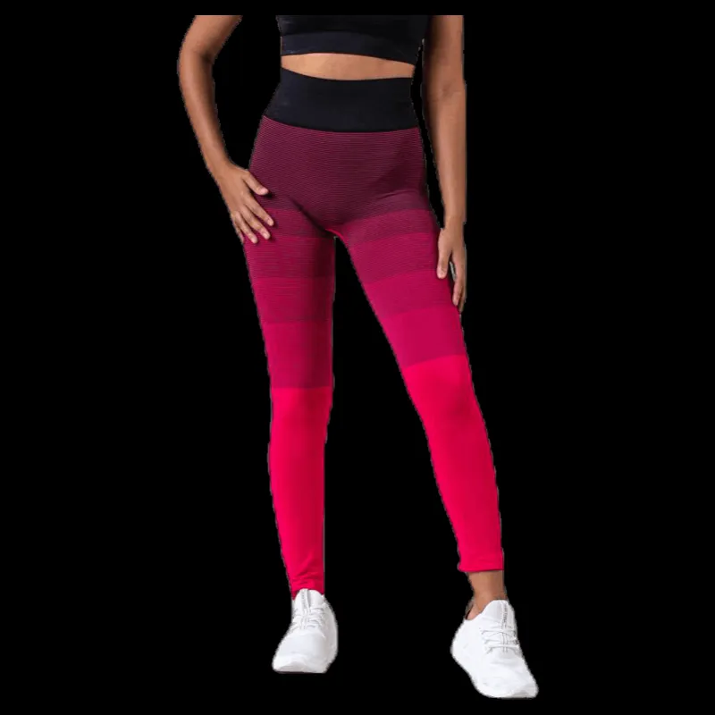Hot BLACC Gradient Seamless Tights Pink Rosa