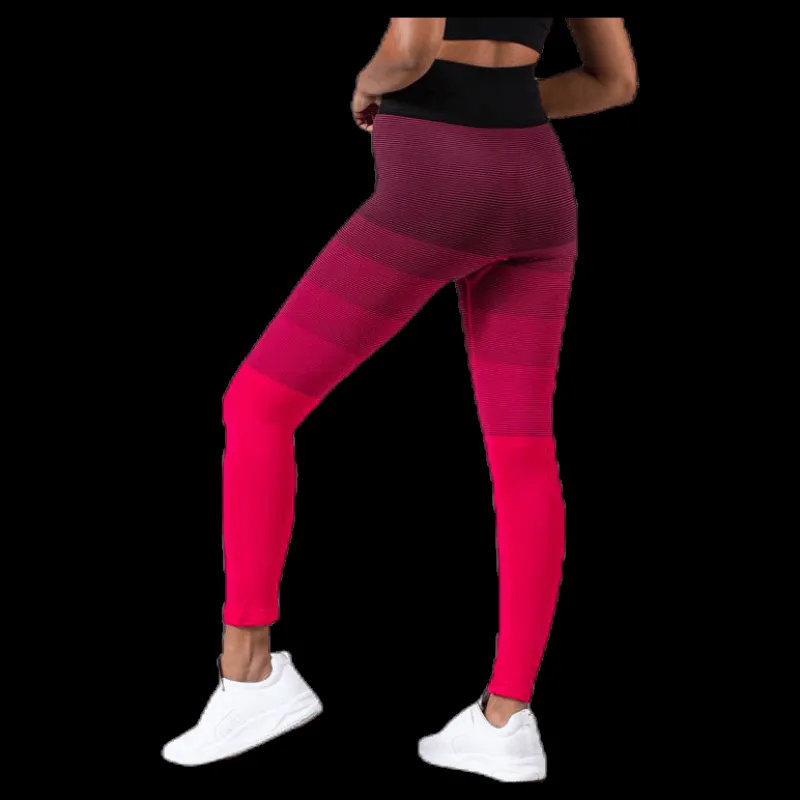 Hot BLACC Gradient Seamless Tights Pink Rosa