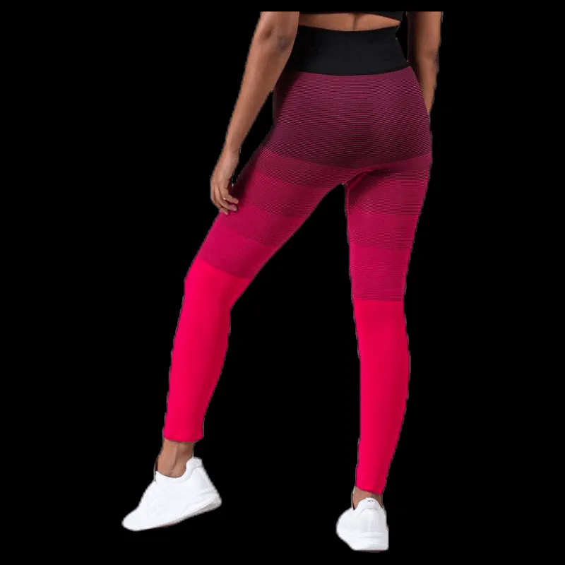 Hot BLACC Gradient Seamless Tights Pink Rosa