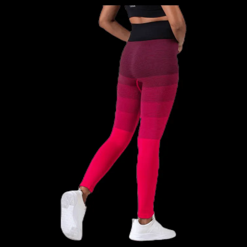 Hot BLACC Gradient Seamless Tights Pink Rosa