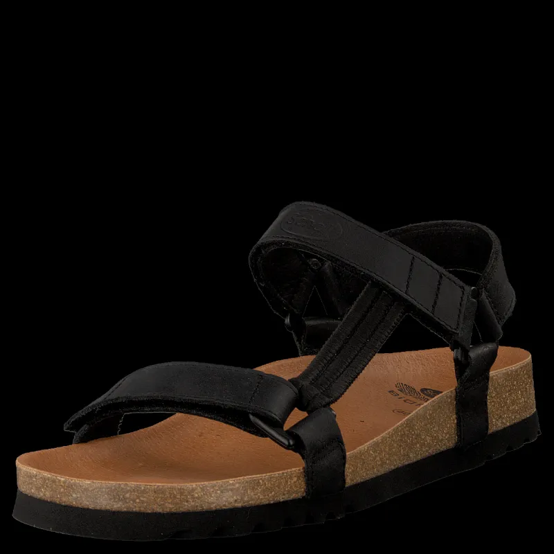 Hot Scholl Heaven AD Black Svart