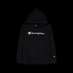 Champion Hooded Sweatshirt Black Beauty Svart